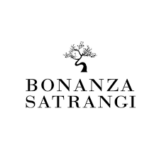 Bonanza Logo